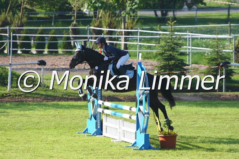 005M3863_J Dremes S Springpferde A.JPG